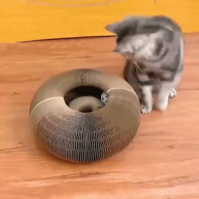 MiauPlay™ | Evita que tu gato destruya tu casa en minutos