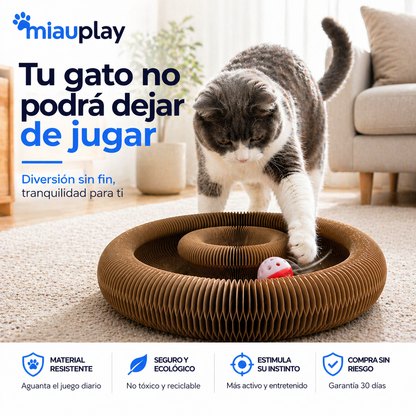 MiauPlay™ | Evita que tu gato destruya tu casa en minutos