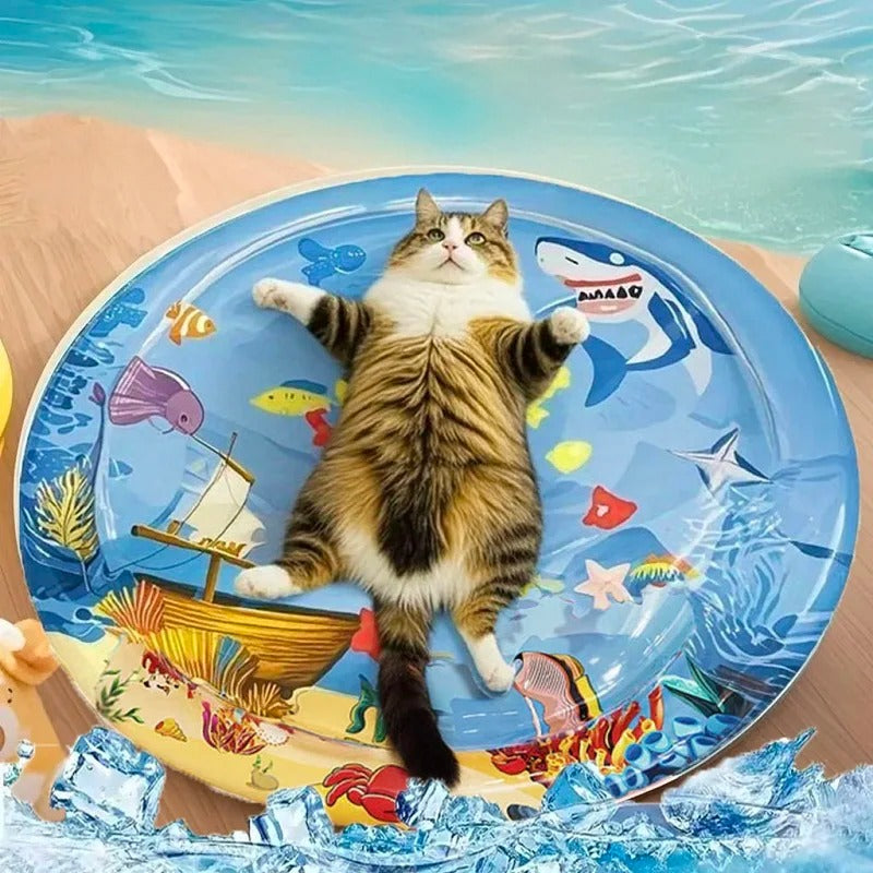 MiauPlay Aqua™ | Tu gato nunca había jugado así (ni tan fresquito)